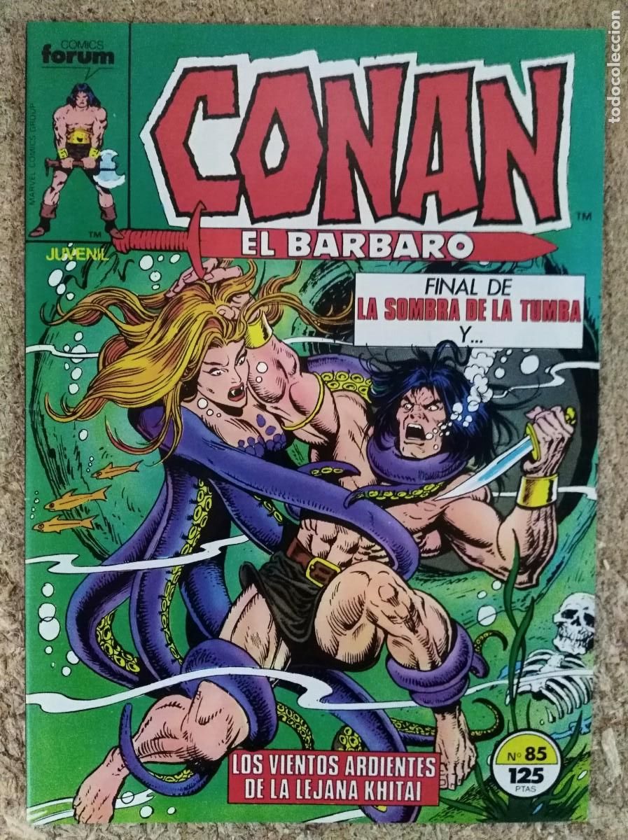 C&oacute;mics: Conan el Barbaro 85 Vol.1 Marvel.Forum - Foto 1
