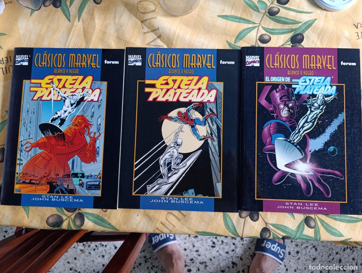C&oacute;mics: CLASICOS MARVEL BLANCO Y NEGRO FORUM SILVER SURFER - Foto 1