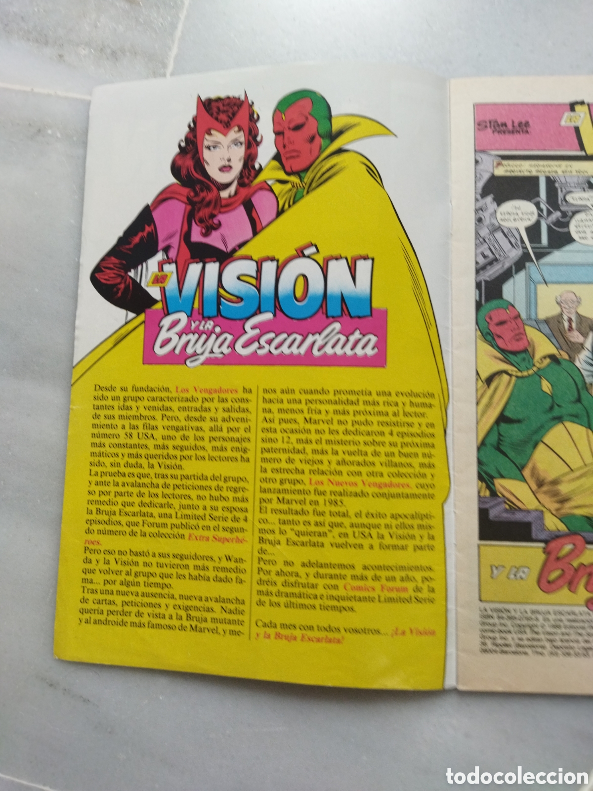 C&oacute;mics: La Visi&oacute;n y La Bruja Escarlata. Vol-2. 1 de 14. Forum - Foto 3