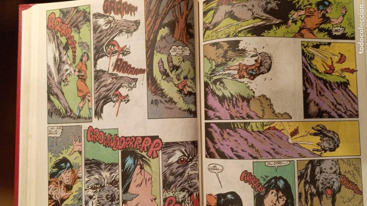 C&oacute;mics: CONAN REY FORUM ENCUADERNADOS #2 (DEL 16 AL 30) - Foto 4