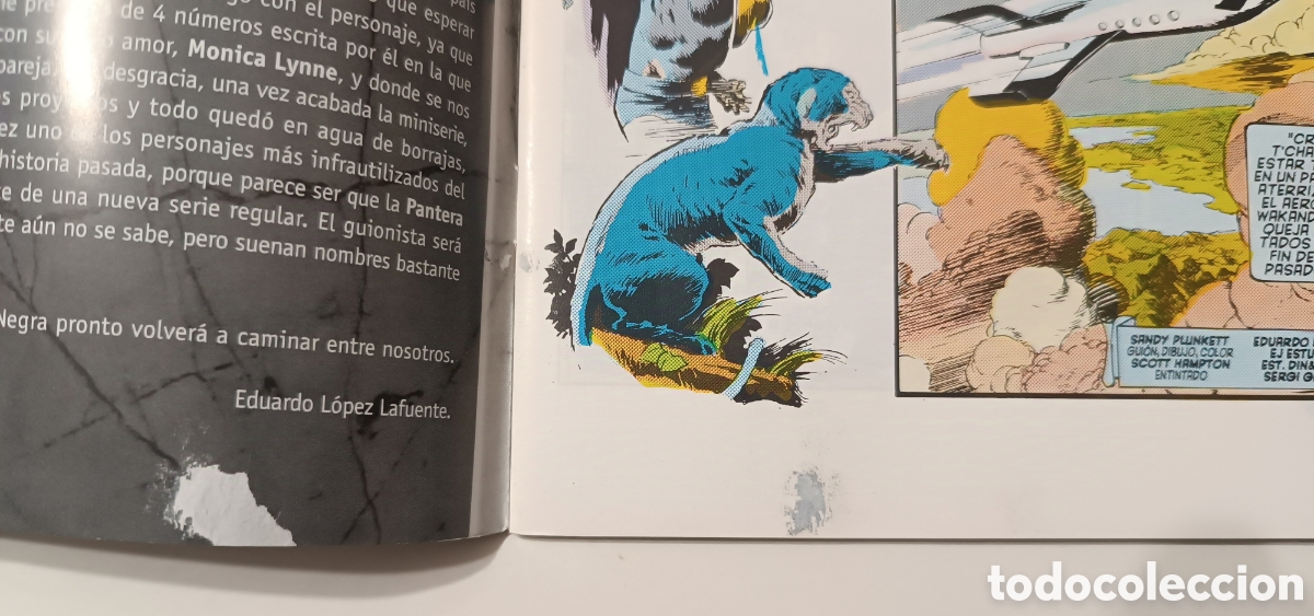 C&oacute;mics: H&eacute;roes Marvel (1998) n&uacute;m. 8 - PANTERA NEGRA - Foto 2