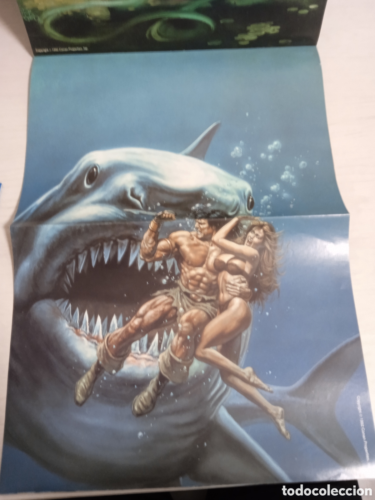 C&oacute;mics: CONAN POSTER BOOK FORUM 1 - Foto 4