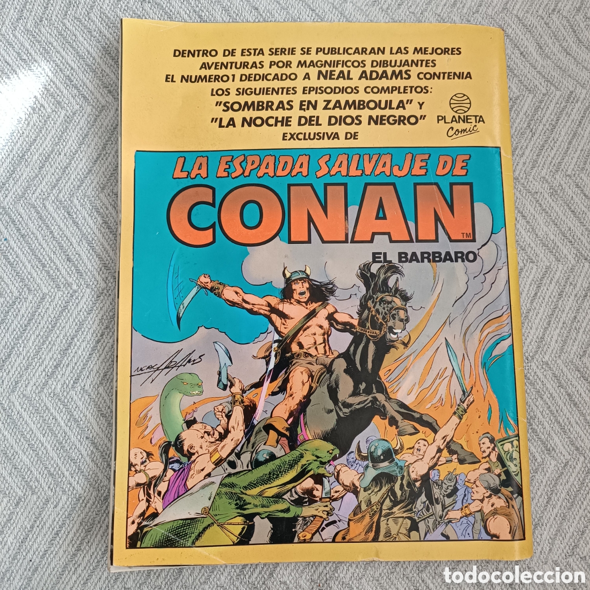 C&oacute;mics: La Espada Salvaje de Conan. n&ordm; 2. Forum. 1&ordf; edici&oacute;n - Foto 2