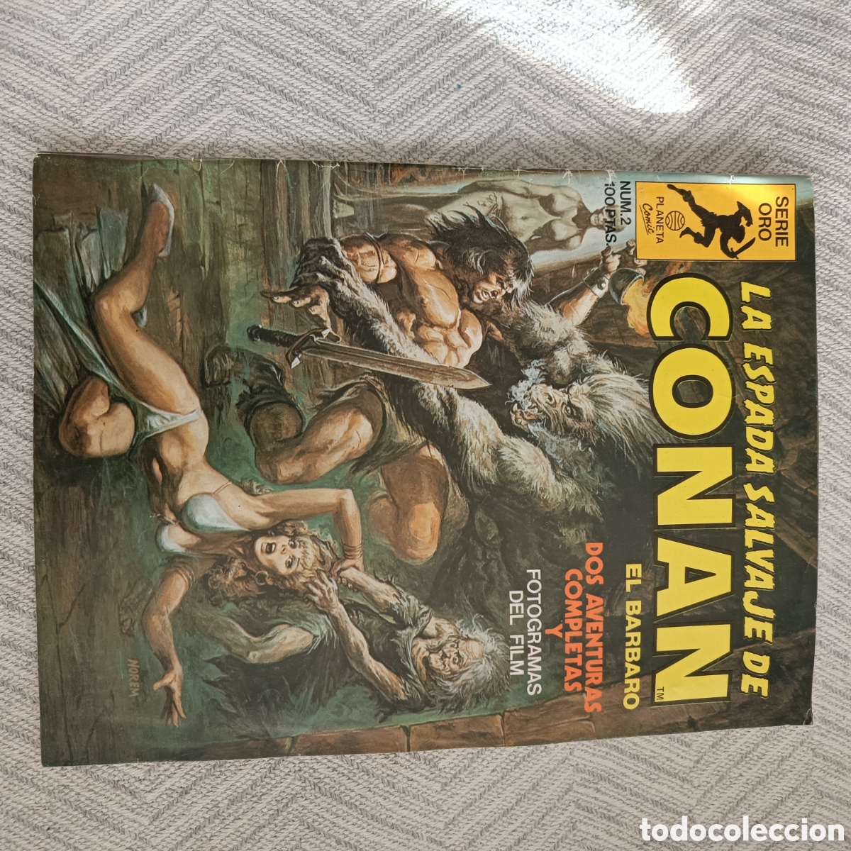 C&oacute;mics: La Espada Salvaje de Conan. n&ordm; 2. Forum. 1&ordf; edici&oacute;n - Foto 1
