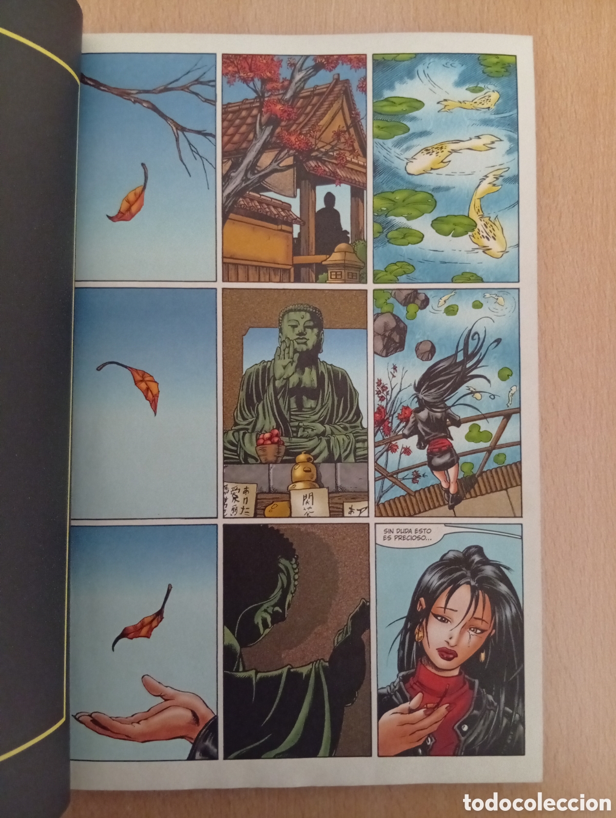 C&oacute;mics: IRON MAN. EL HOMBRE DE LA M&Aacute;SCARA DE HIERRO. Quesada / Chen / Hunter - Foto 7