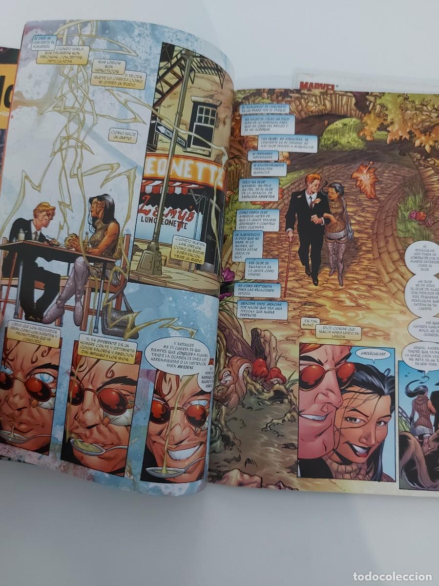 C&oacute;mics: LOTE DAREDEVIL: MARVEL KNIGHTS. 8 EJEMPLARES (DE 70). GRAPA. FORUM. MARVEL. 1999 &ndash; 2000. - Foto 21