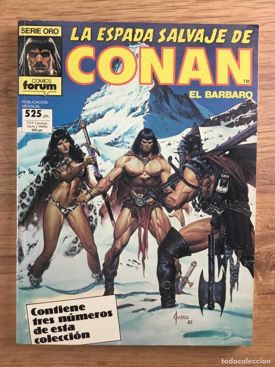 C&oacute;mics: LA ESPADA SALVAJE DE CONAN - RETAPADO 3 N&Uacute;MEROS - Foto 1