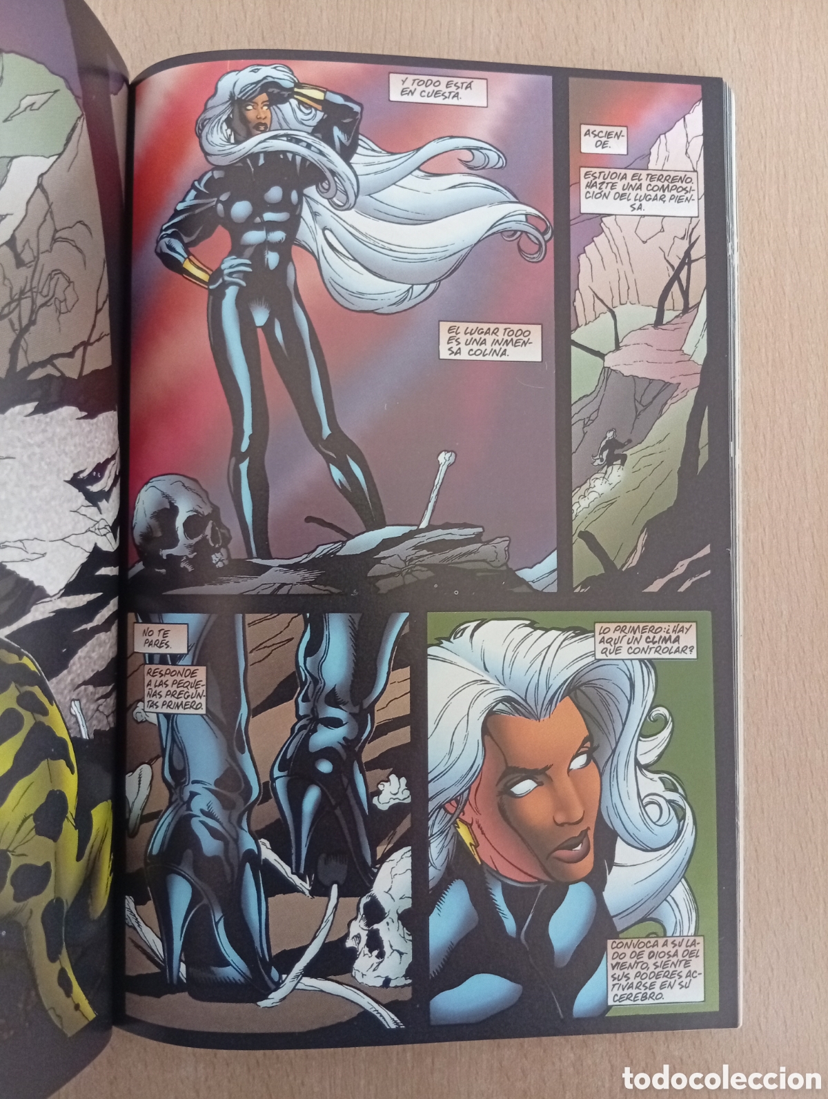 C&oacute;mics: X-MEN: LIBERADORES & TORMENTA - Foto 24