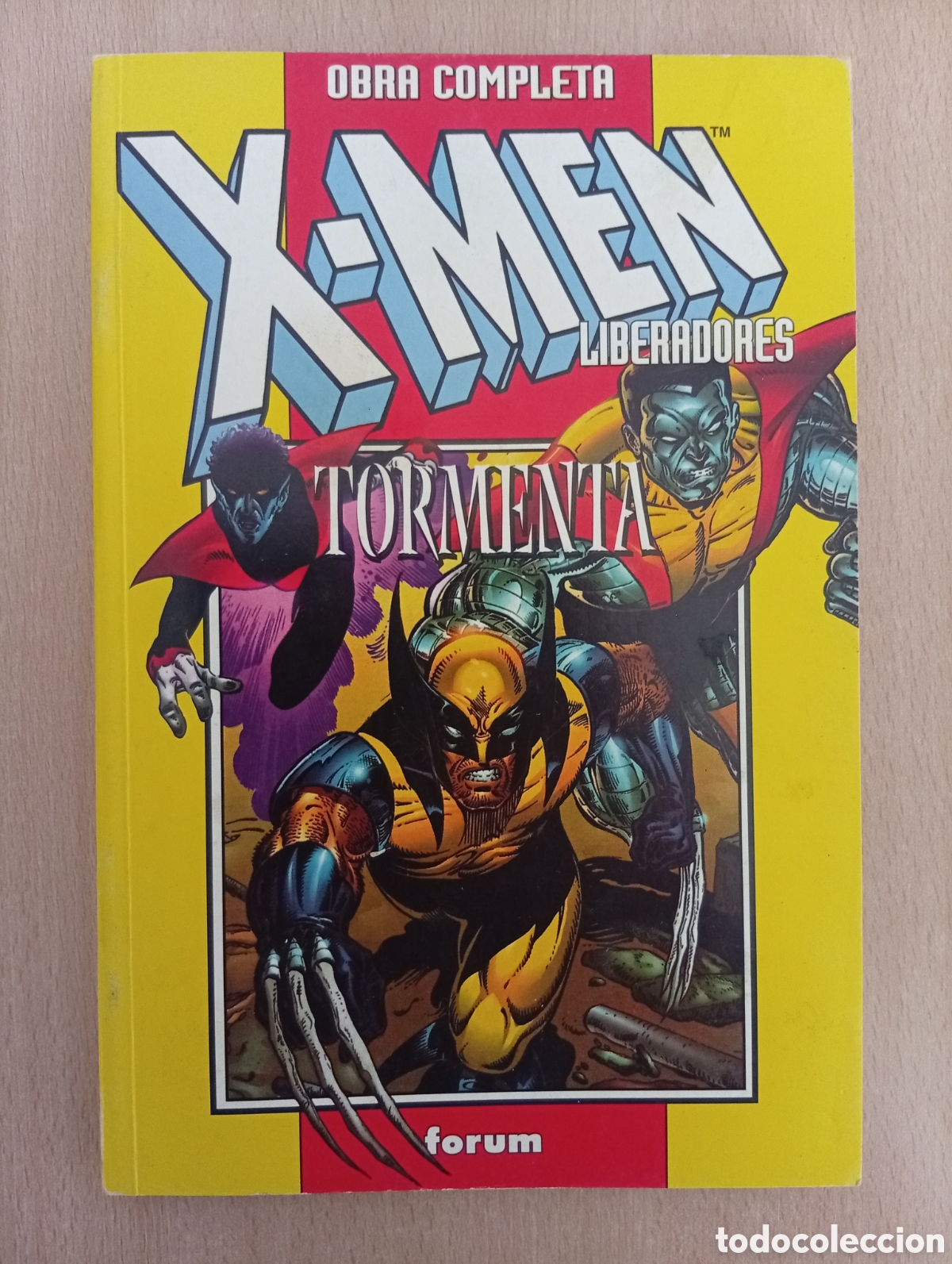 C&oacute;mics: X-MEN: LIBERADORES & TORMENTA - Foto 1