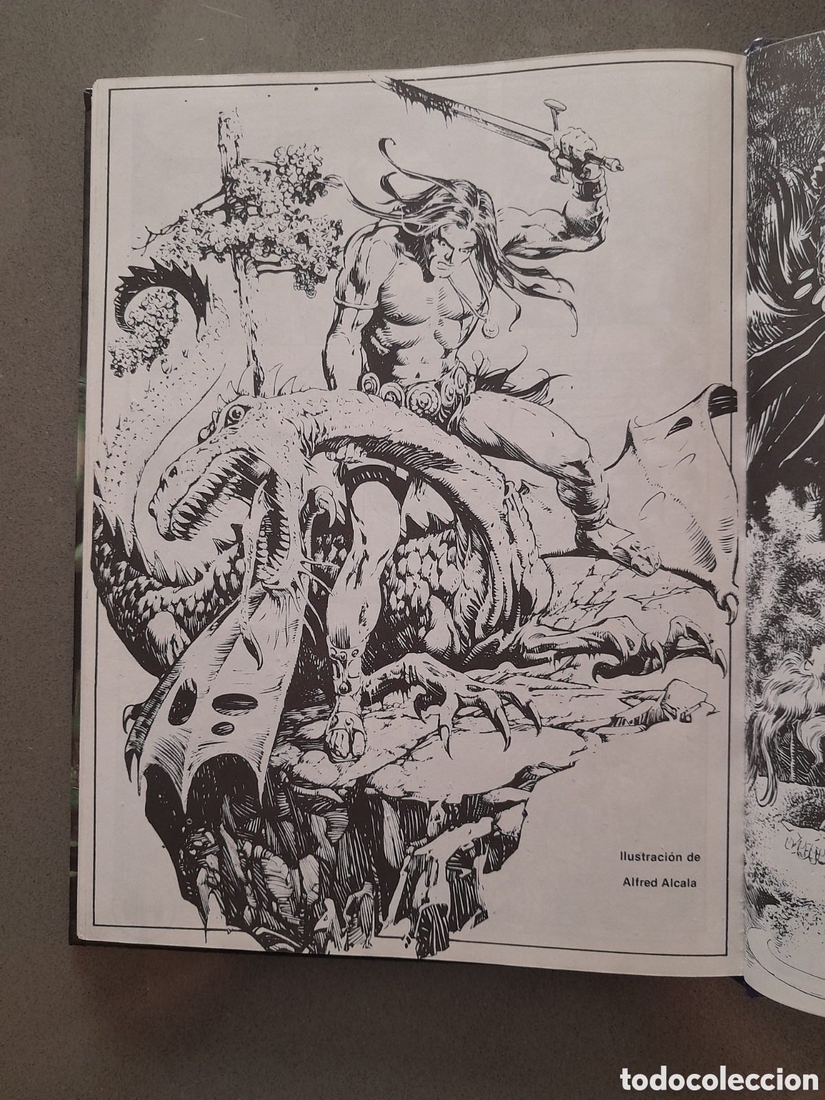 C&oacute;mics: SuperConan. Conan el Renegado. Edici&oacute;n 2 - Foto 2