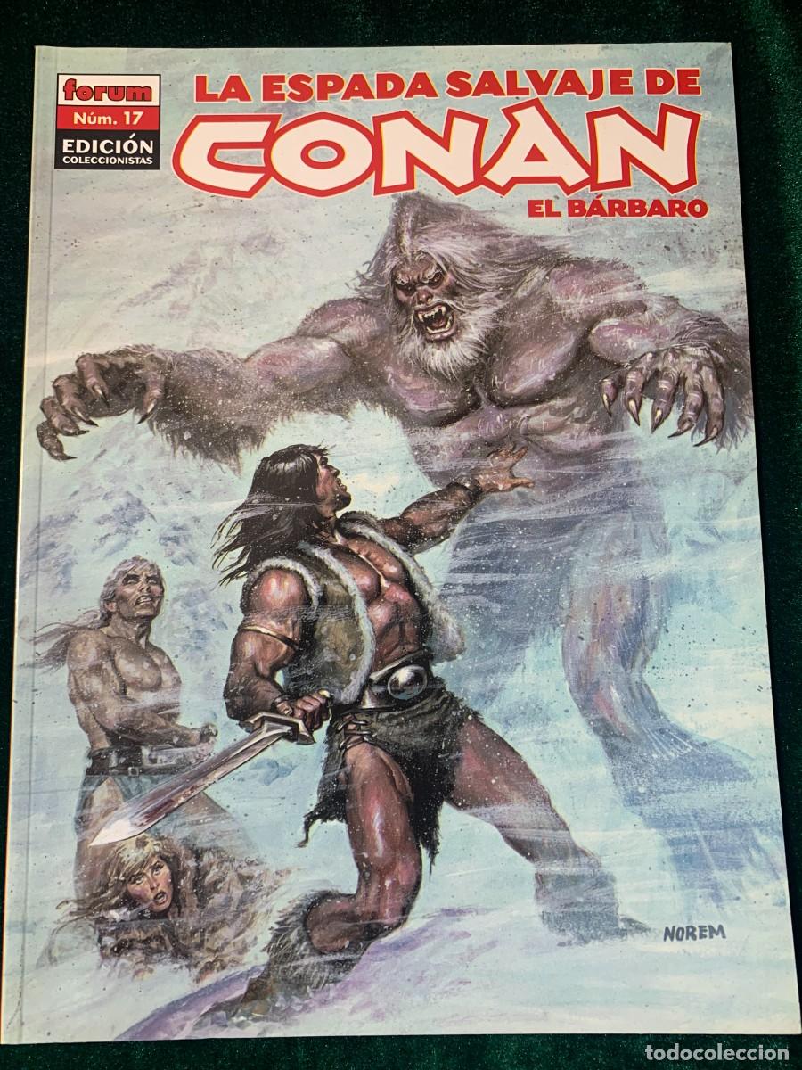 C&oacute;mics: COMICS; &laquo; LA ESPADA SALVAJE N&ordm; 17 &raquo; EDICCI&Oacute;N COLECCIONISTA - Foto 1
