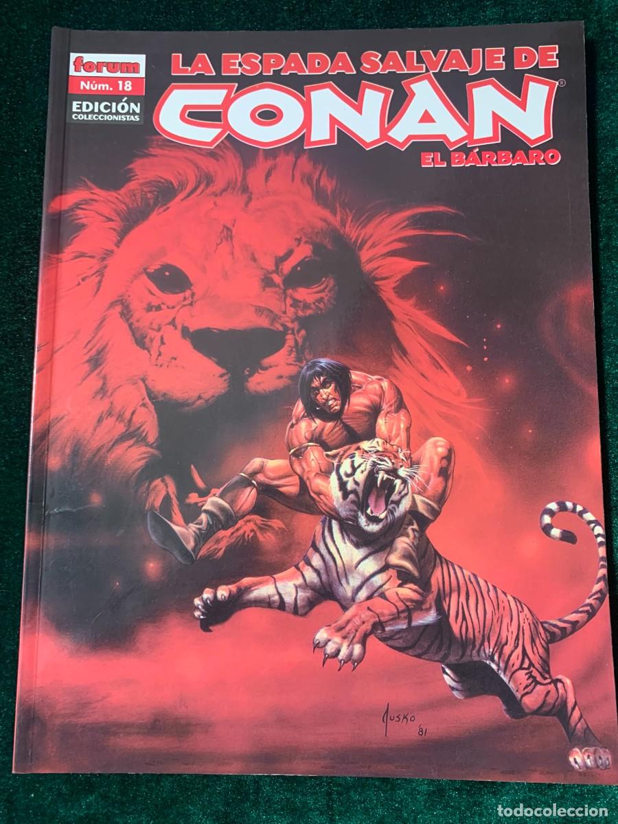 C&oacute;mics: COMICS; &laquo; LA ESPADA SALVAJE N&ordm; 18 &raquo; EDICCI&Oacute;N COLECCIONISTA - Foto 1
