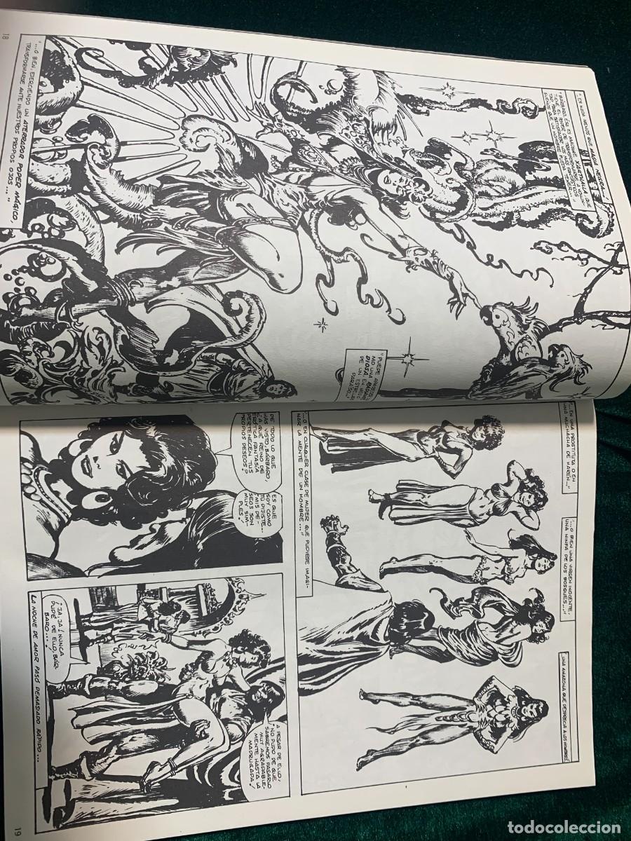C&oacute;mics: COMICS; &laquo; LA ESPADA SALVAJE N&ordm; 23 &raquo; EDICCI&Oacute;N COLECCIONISTA - Foto 4