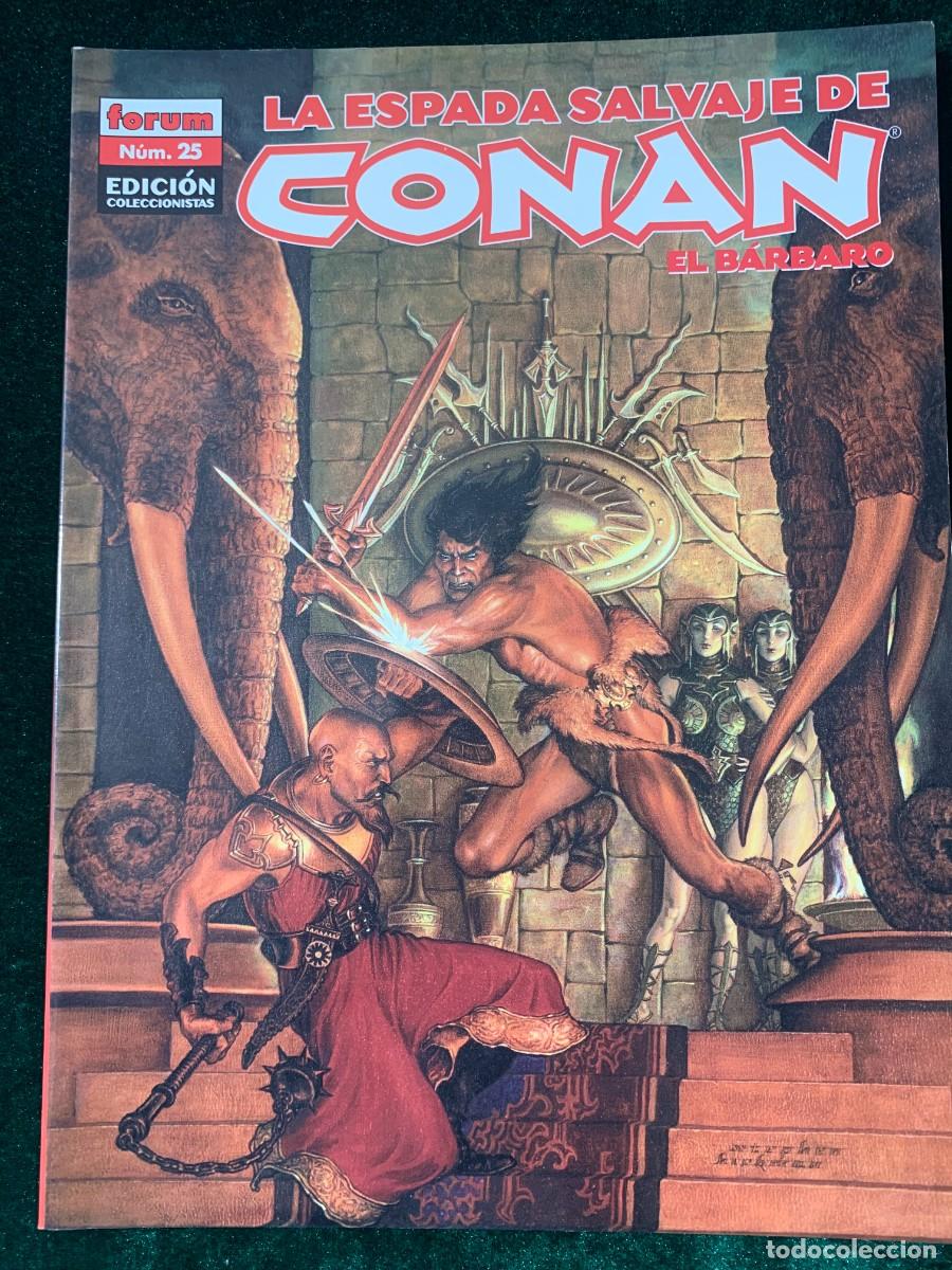 C&oacute;mics: COMICS; &laquo; LA ESPADA SALVAJE N&ordm; 25 &raquo; EDICCI&Oacute;N COLECCIONISTA - Foto 1