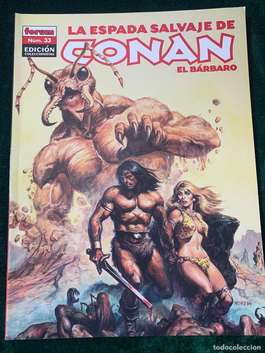 C&oacute;mics: COMICS; &laquo; LA ESPADA SALVAJE N&ordm; 33 &raquo; EDICCI&Oacute;N COLECCIONISTA - Foto 1