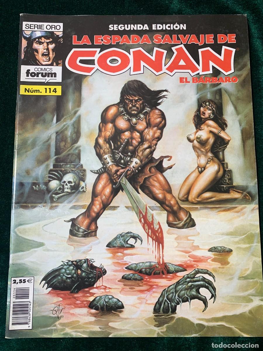 C&oacute;mics: COMICS; &laquo; LA ESPADA SALVAJE DE CONAN N&ordm; 114 &raquo; SERIE ORO - Foto 1