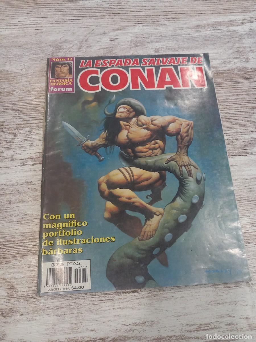 C&oacute;mics: C&oacute;mic N&deg; 12 Conan La espada salvaje - Foto 1