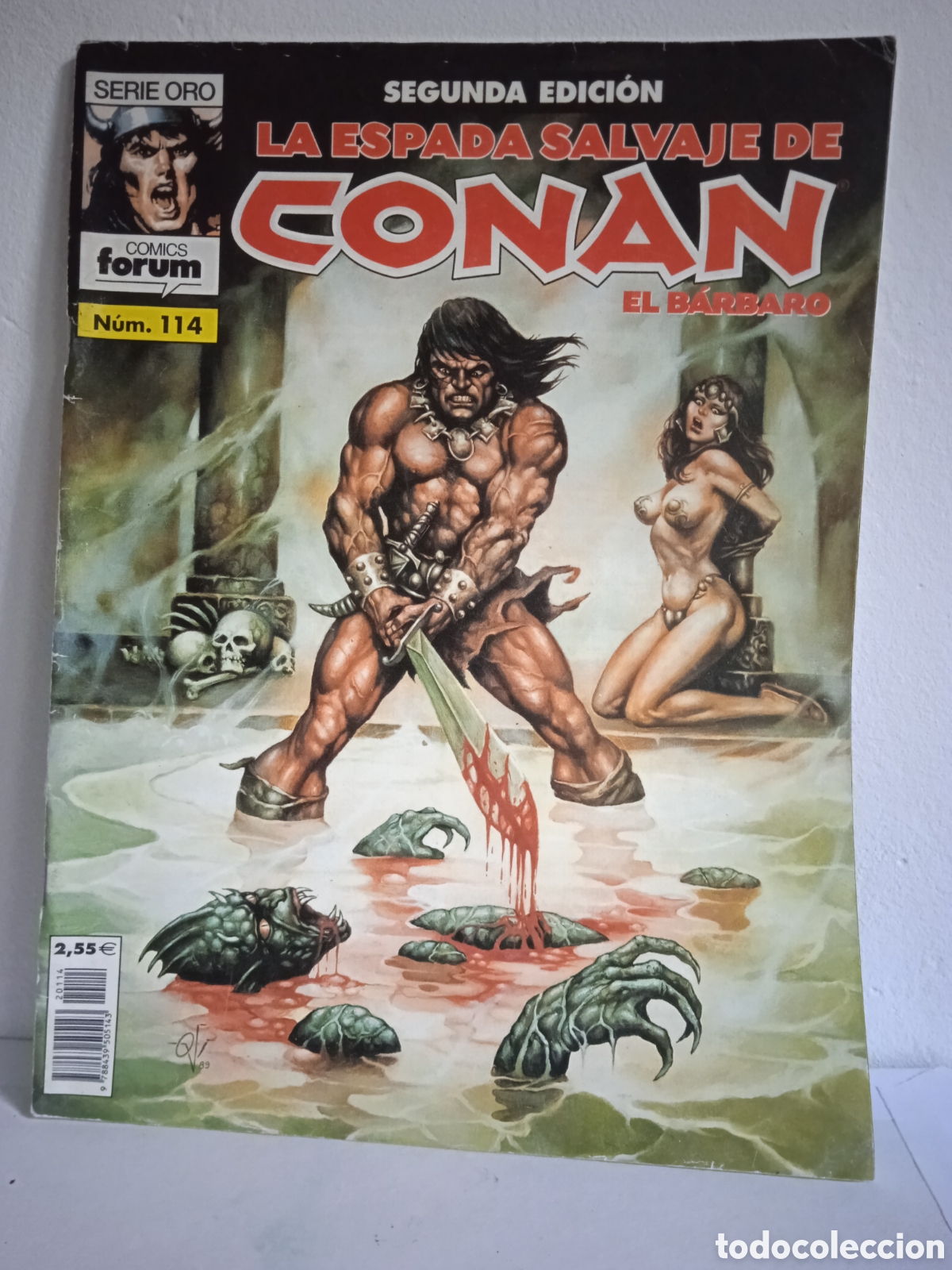 C&oacute;mics: La espada salvaje de Conan el b&aacute;rbaro N&deg;114 - Foto 1