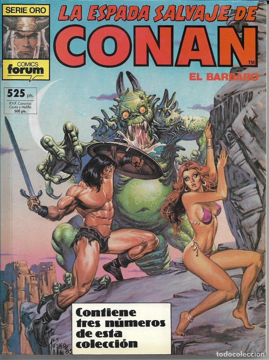 C&oacute;mics: LA ESPADA SALVAJE DE CONAN - TOMO (4) - Foto 1