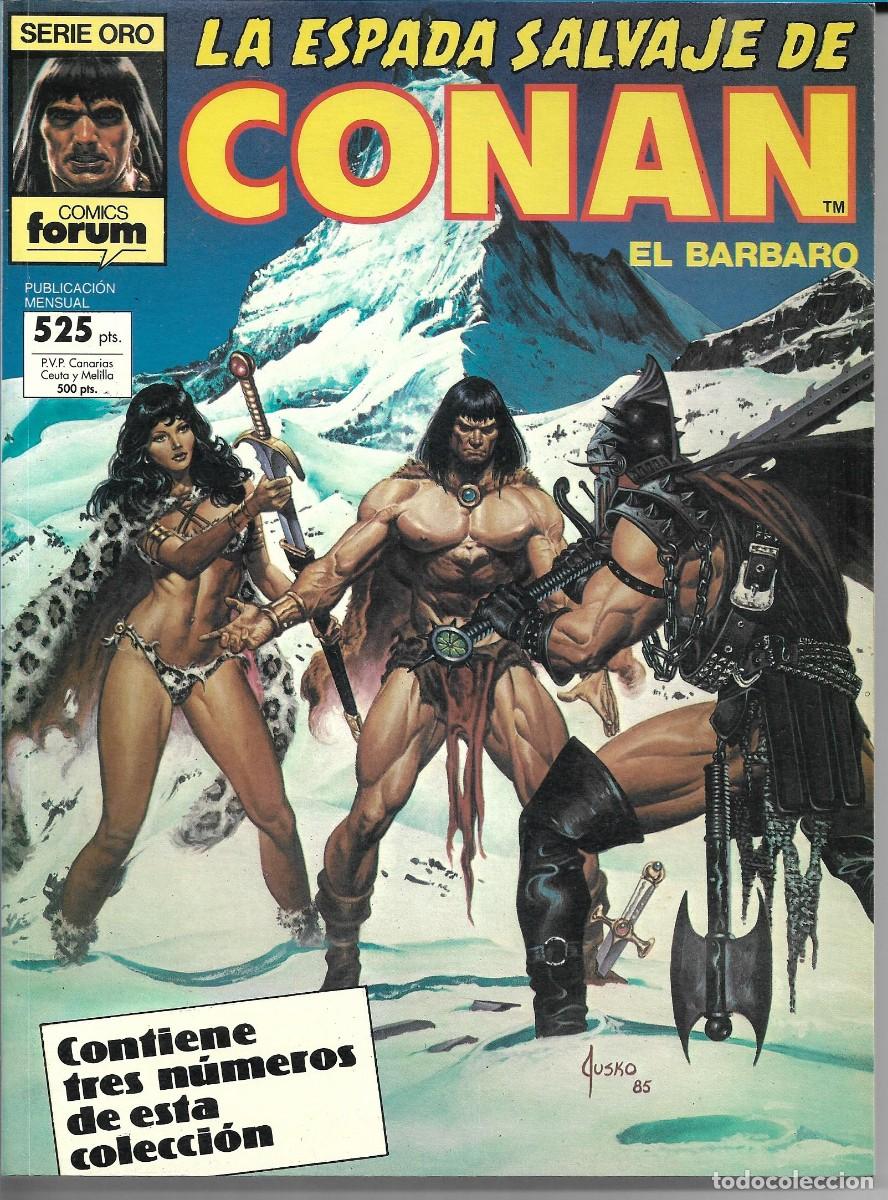 C&oacute;mics: LA ESPADA SALVAJE DE CONAN - TOMO (5) - Foto 1