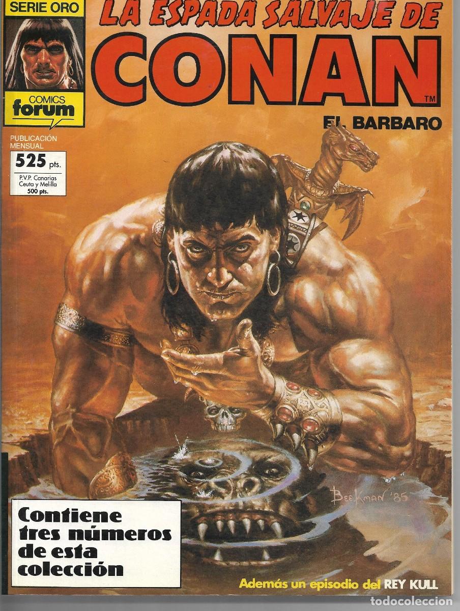 C&oacute;mics: LA ESPADA SALVAJE DE CONAN - TOMO (6) - Foto 1