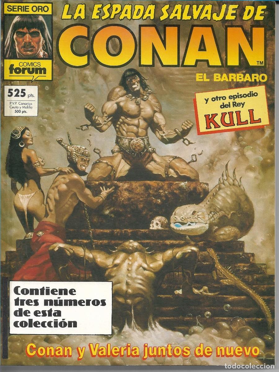 C&oacute;mics: LA ESPADA SALVAJE DE CONAN - TOMO (7) - Foto 1