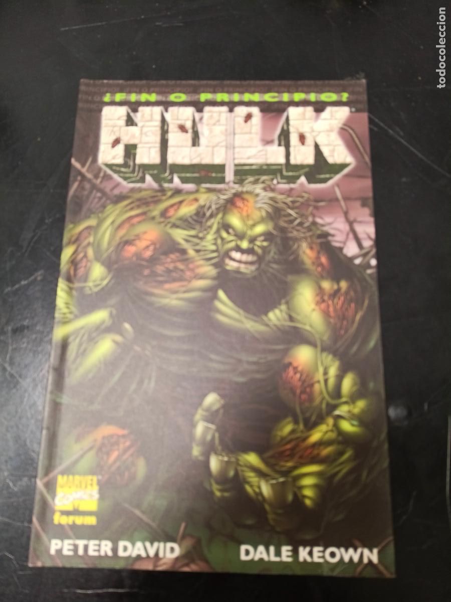 C&oacute;mics: Hulk: &iquest;Fin o principio?, de Peter David y Dale Keown - Foto 1