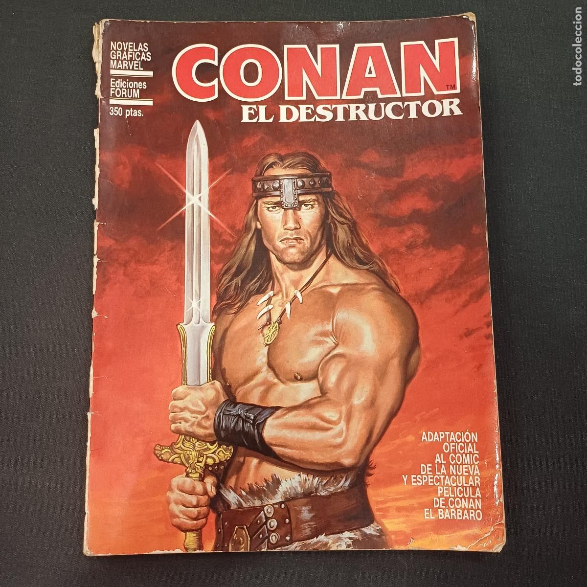 C&oacute;mics: CONAN EL DESTRUCTOR/NOVELA GRAFICA FORUM. - Foto 1