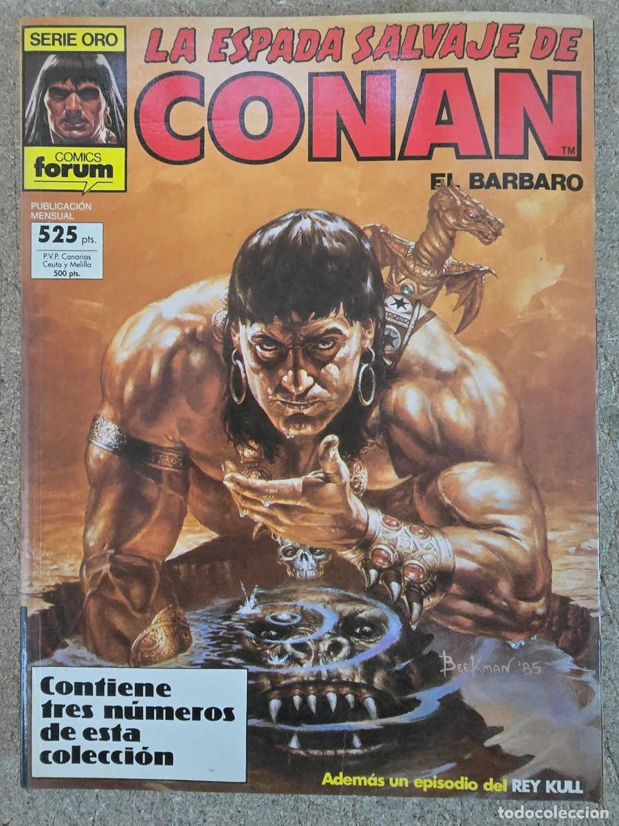 C&oacute;mics: La Espada Salvaje de Conan.Retapado con los numeros 62 a 64.Marvel.Forum - Foto 1