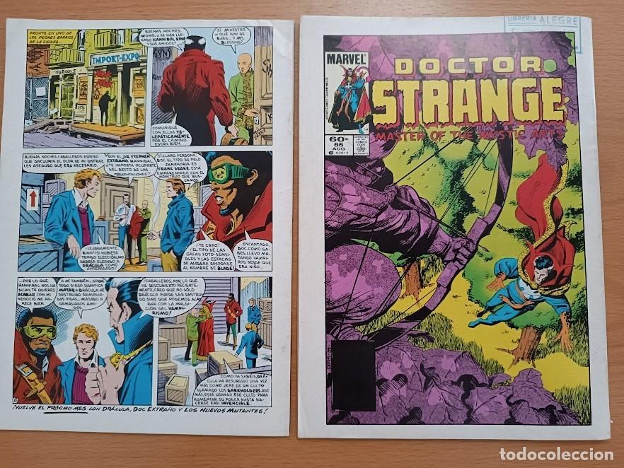 C&oacute;mics: LOS NUEVOS MUTANTES, MARVEL FORUM - Foto 2