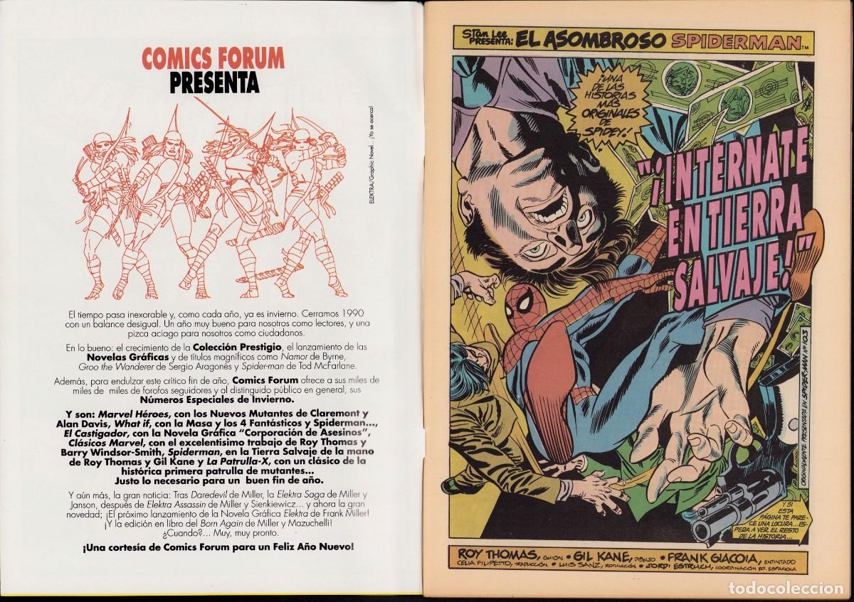 C&oacute;mics: Spiderman Vol. 1 Especial Invierno - Comics Forum 1990 - Foto 2