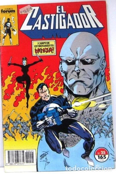 C&oacute;mics: EL CASTIGADOR N&ordm; 25 - COMICS FORUM - Foto 1