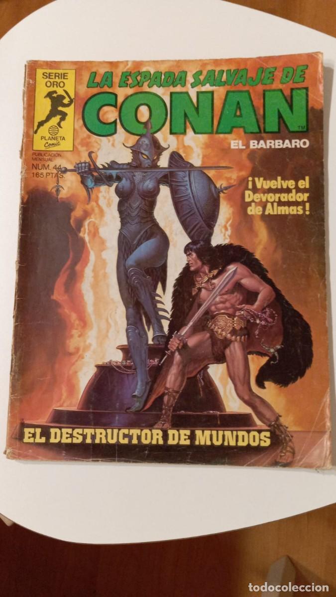C&oacute;mics: La Espada Salvaje de Conan Vol.1 (1982-1996) #44 - Foto 1