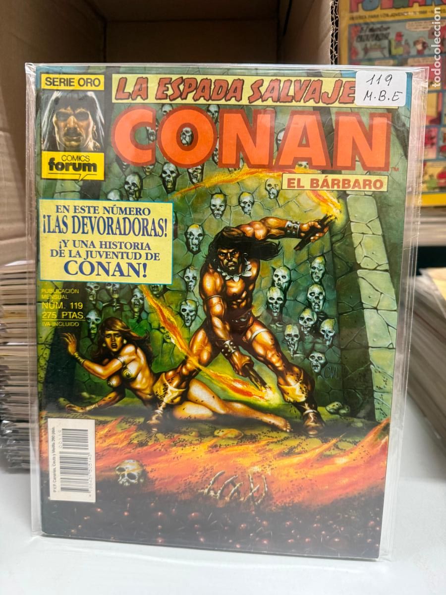 C&oacute;mics: ESPADA SALVAJE DE CONAN EDITORIAL FORUM NUMERO 119 - Foto 1
