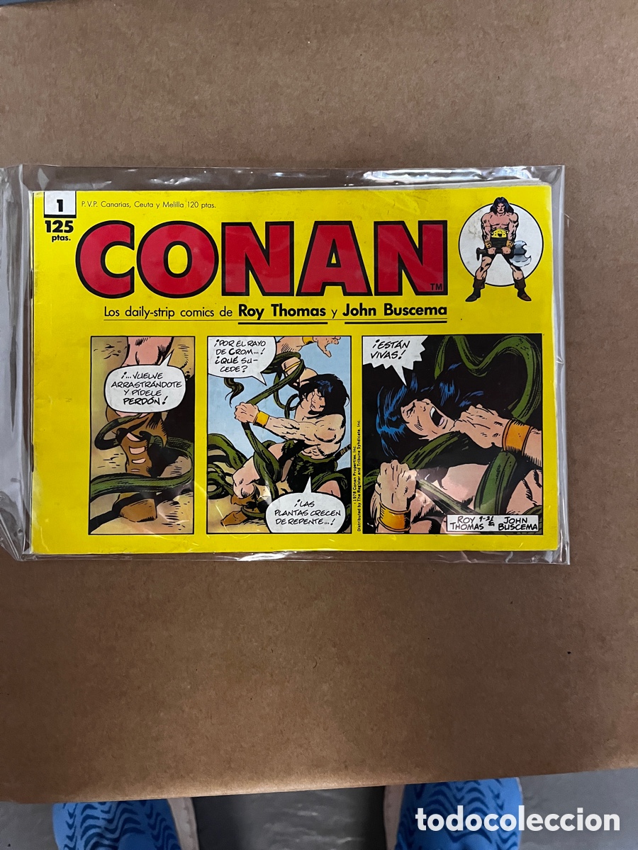 C&oacute;mics: Conan el b&aacute;rbaro .Las daily-strip comics. Roy Thomas # 1 - Foto 1
