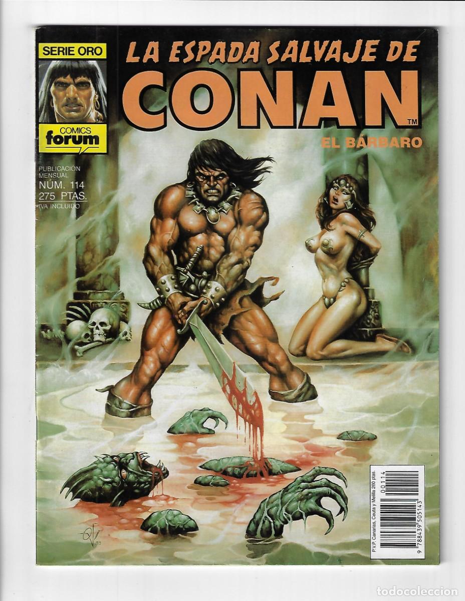 C&oacute;mics: Forum. La espada salvaje de Conan. 114 - Foto 1