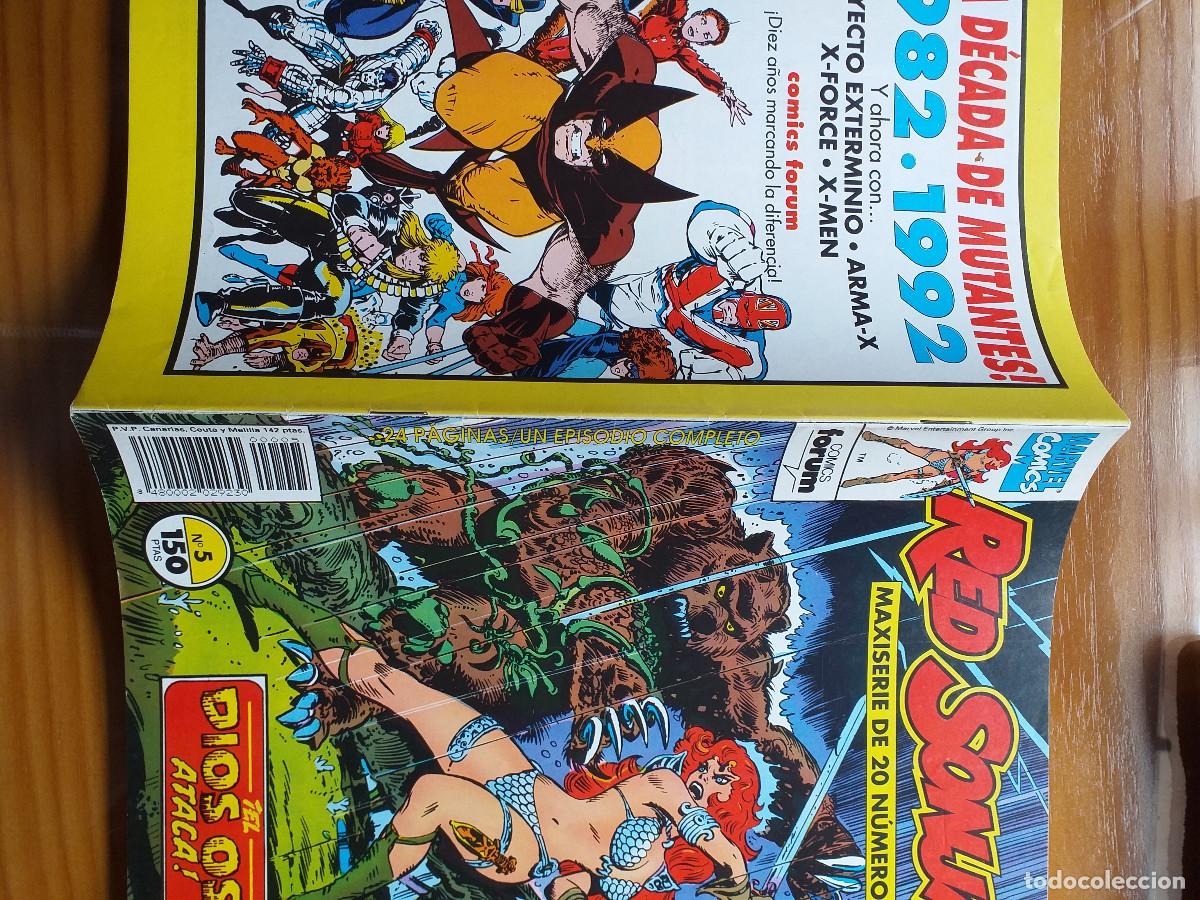 C&oacute;mics: RED SONJA - N&ordm; 5 - &iexcl;El dios oso ataca! - FORUM - Foto 4