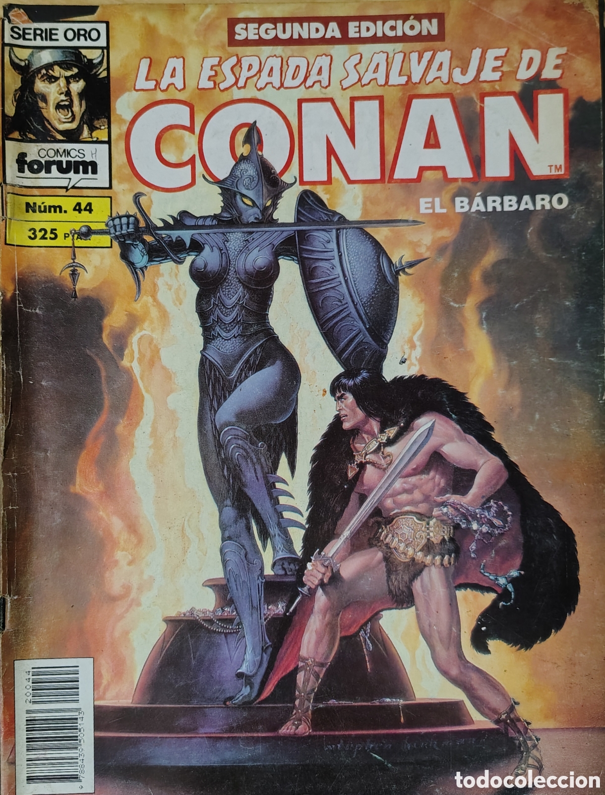 C&oacute;mics: La Espada Salvaje De Conan El B&aacute;rbaro - Foto 16