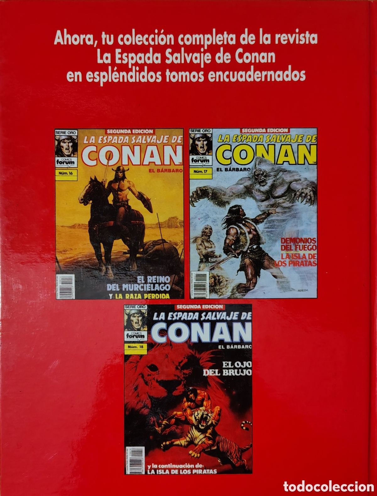 C&oacute;mics: La Espada Salvaje De Conan El B&aacute;rbaro - Foto 24