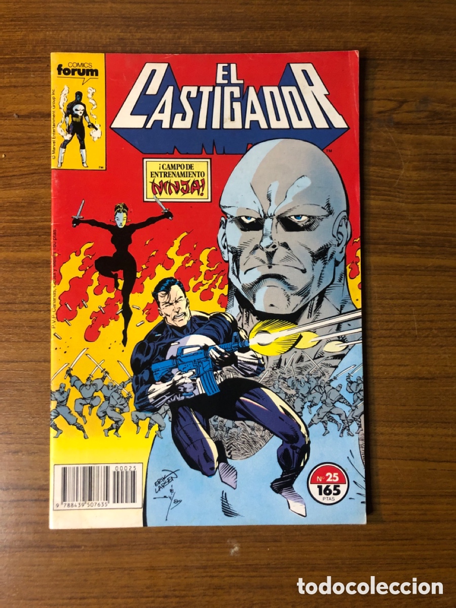 C&oacute;mics: EL CASTIGADOR,N&Uacute;MERO 25,(EDITORIAL FORUM) - Foto 1