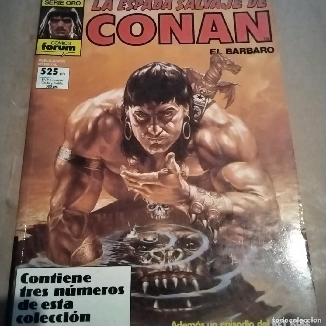 C&oacute;mics: LA ESPADA SALVAJE DE CONAN RETAPADO FORUM - Foto 1