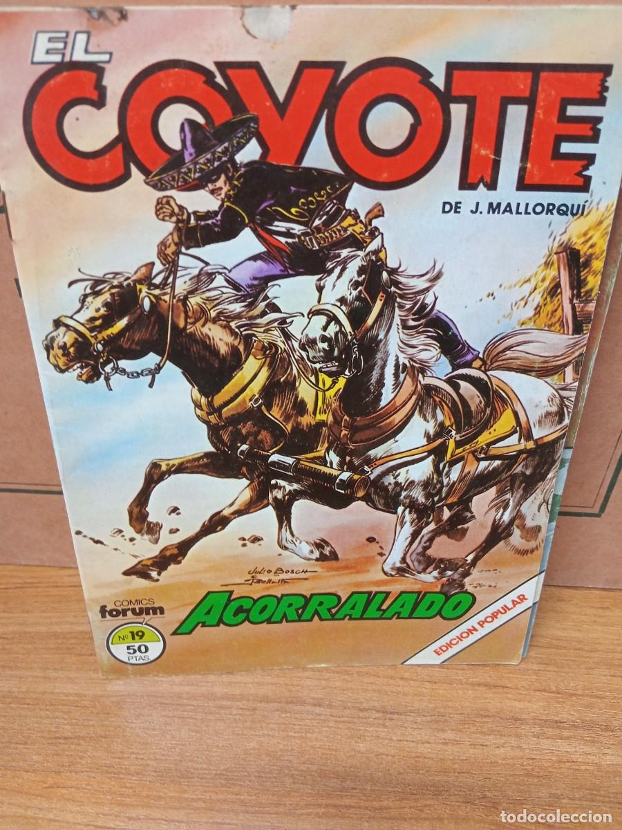 C&oacute;mics: EL COYOTE - N&ordm; 19 - COMICS FORUM - Foto 1