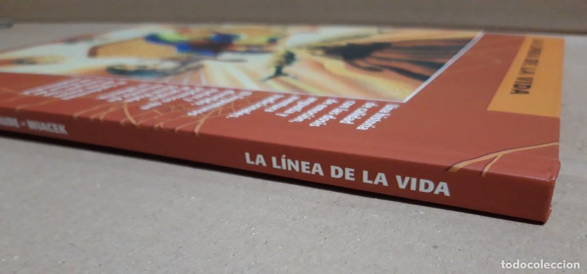 C&oacute;mics: SPIDERMAN. LA L&Iacute;NEA DE LA VIDA. FORUM - Foto 4