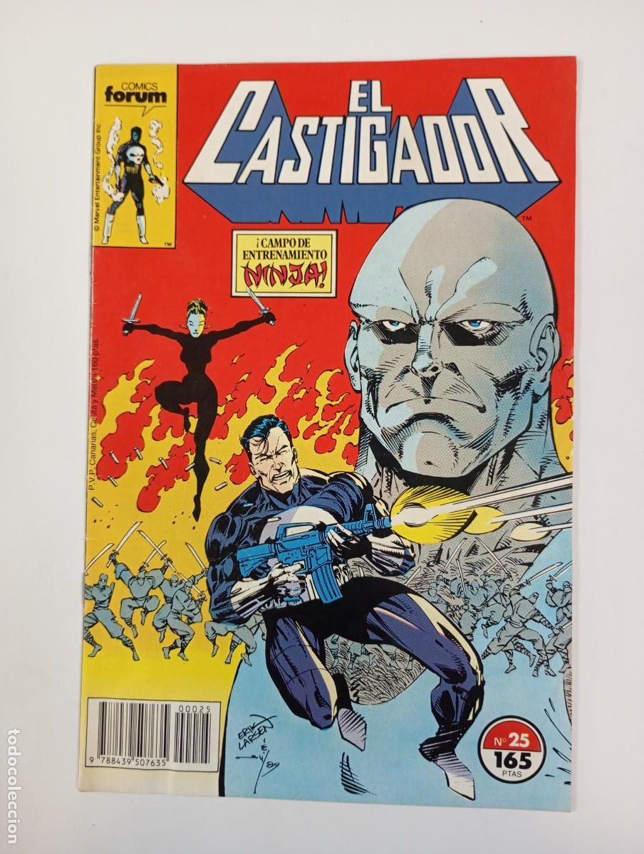 C&oacute;mics: EL CASTIGADOR N&ordm; 25. FORUM. TDKR70 - Foto 1