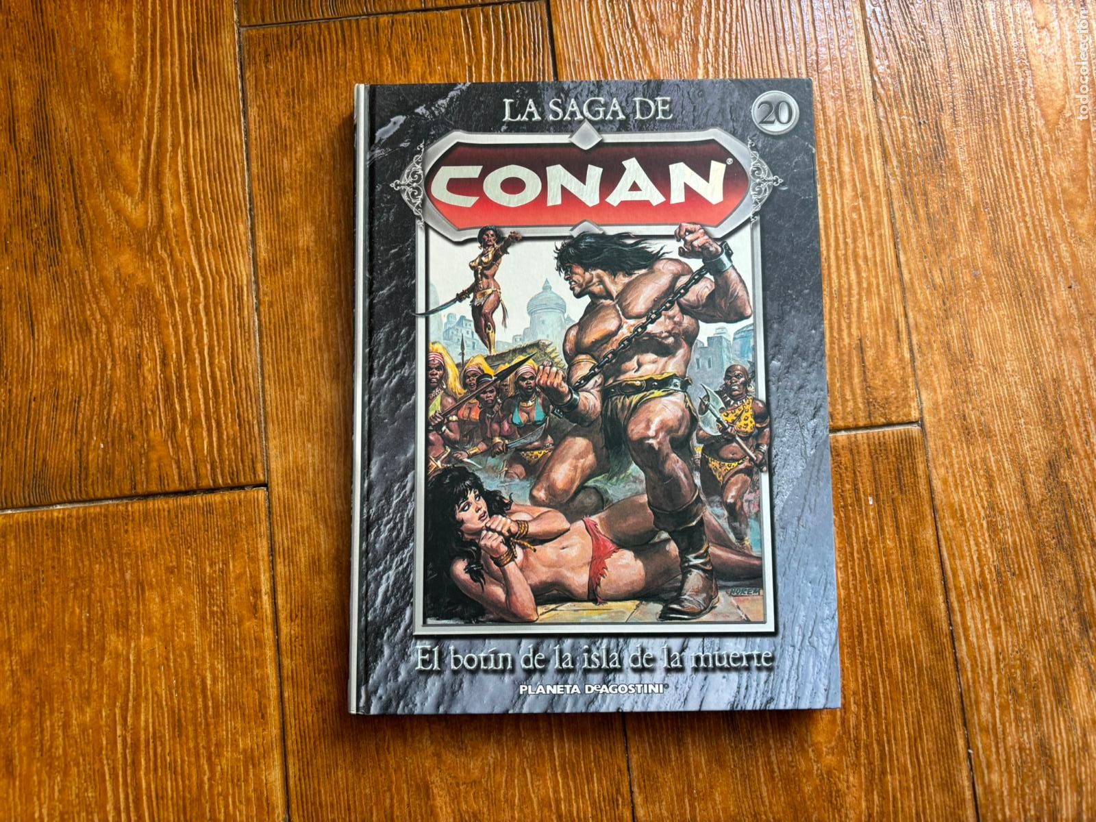 C&oacute;mics: LA SAGA DE CONAN - N&ordm; 20 EL BOTIN DE LA TORRE DE LA MUERTE EDITORIAL PLANETA