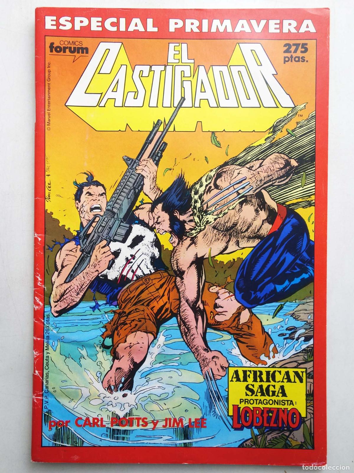 C&oacute;mics: EL CASTIGADOR ESPECIAL PRIMAVERA 1989 (Vvaa) Forum, 1989. CON POSTER