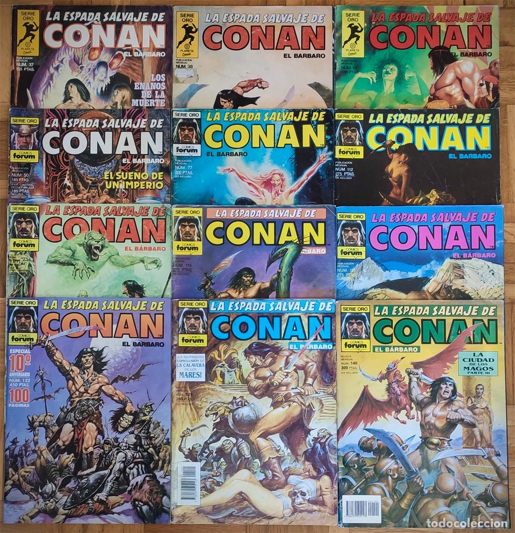 C&oacute;mics: La espada salvaje de Conan (12 n&uacute;meros)