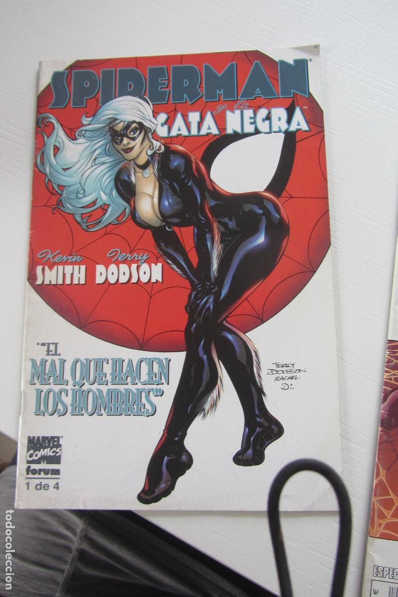 C&oacute;mics: SPIDERMAN Y LA GATA NEGRA N.&ordm; 1 (DE 3). EL MAL KEVIN SMITH TERRY DOBSON FORUM BUEN ESTADO ARX54