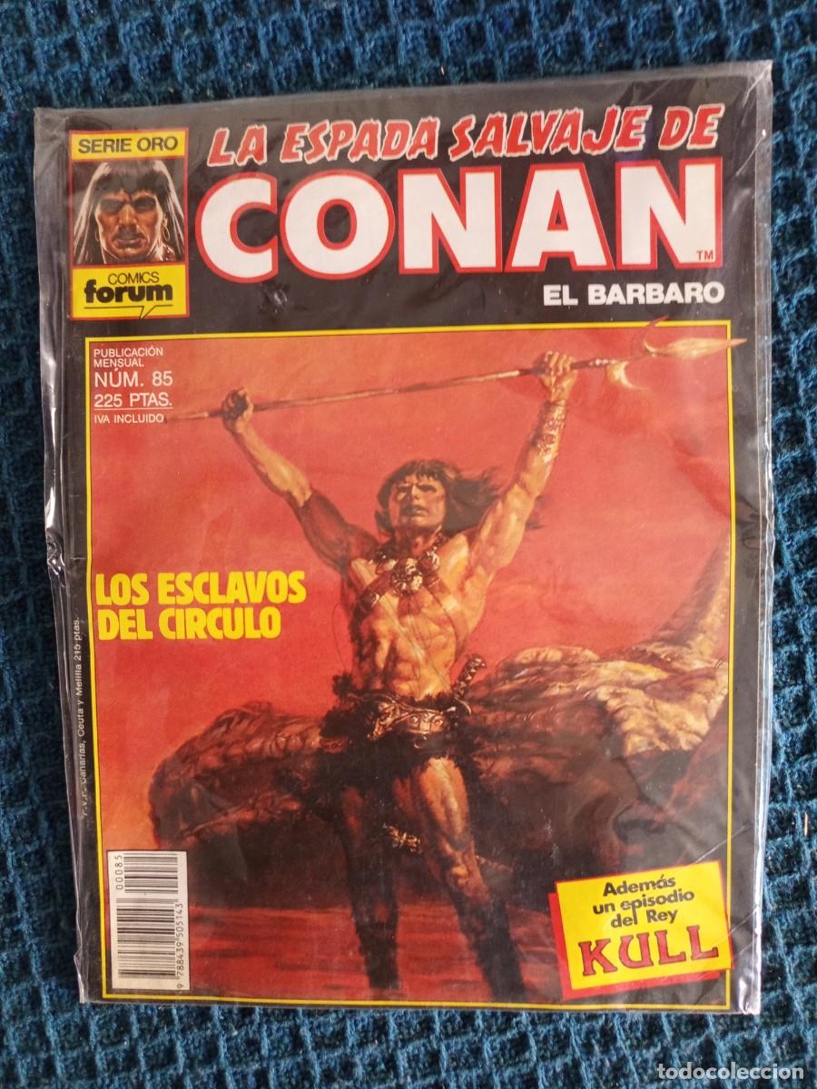 C&oacute;mics: La espada salvaje de Conan 85