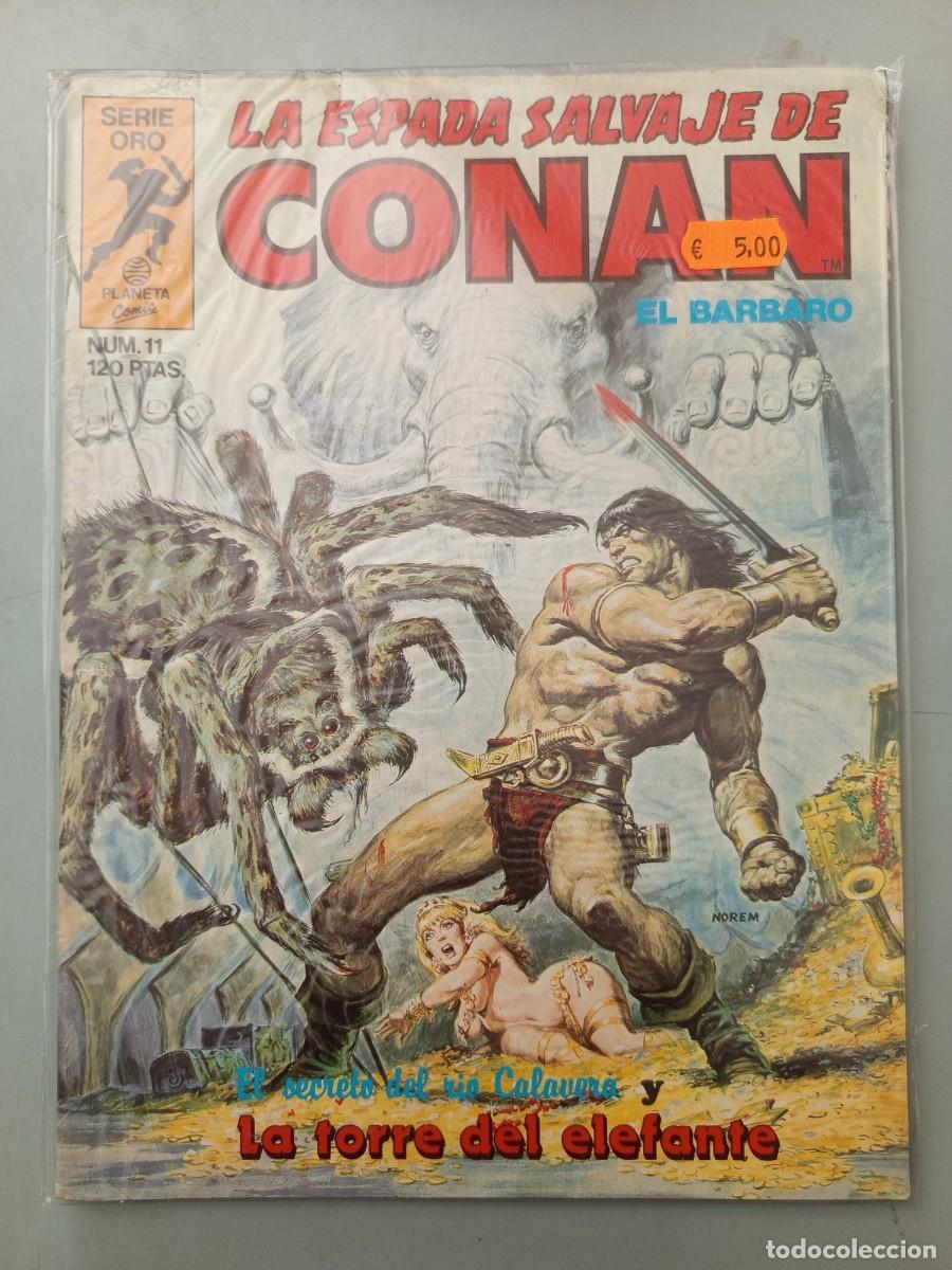 Comics: La espada salvaje de Conan 11 Forum
